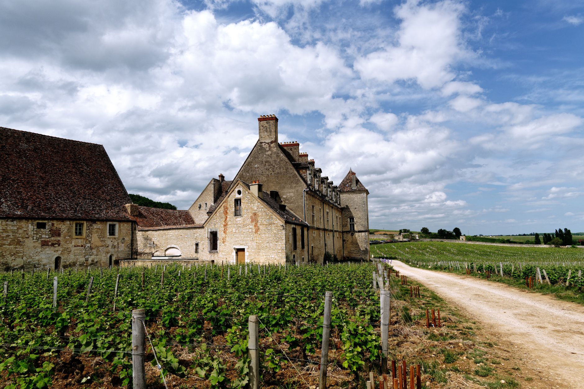 Vue panoramique d'un vignoble et château en France
